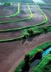 Check Terraces (image)