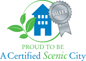 Silver proud logo no background
