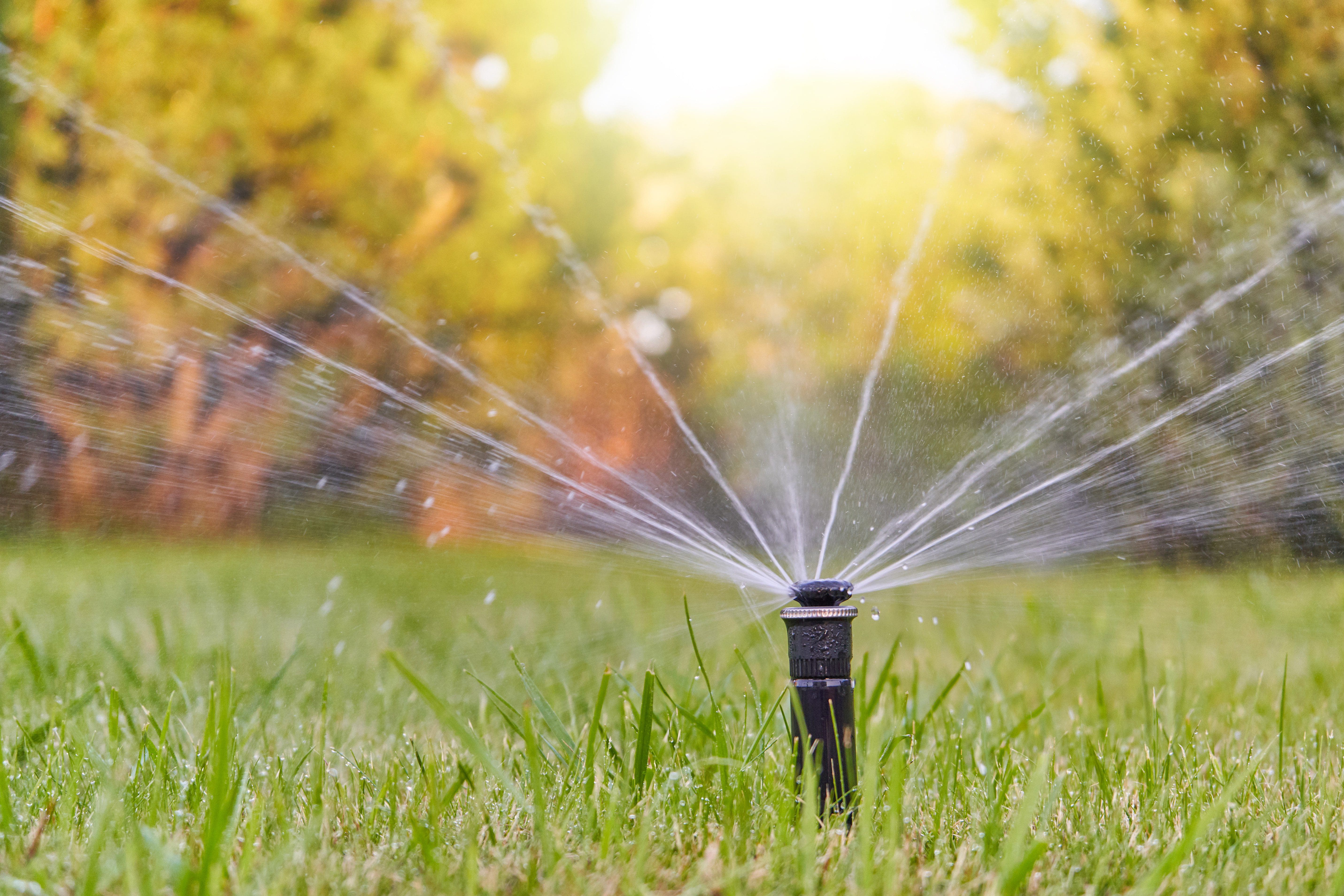 Spruce up your sprinkler system and save money with these 5 common-sense irrigation tips