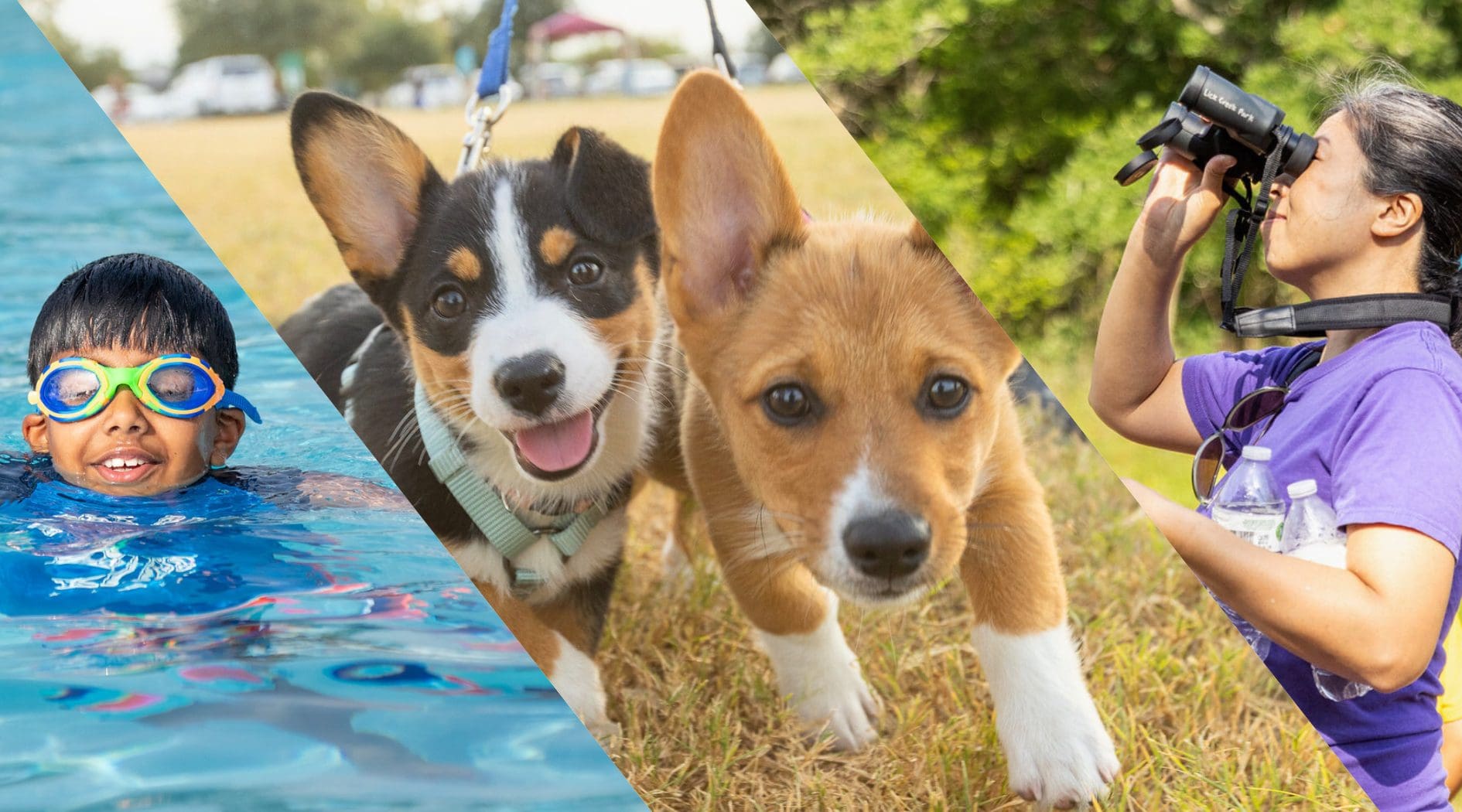 Explore exciting new programs this winter and spring in College Station Parks and Recreation